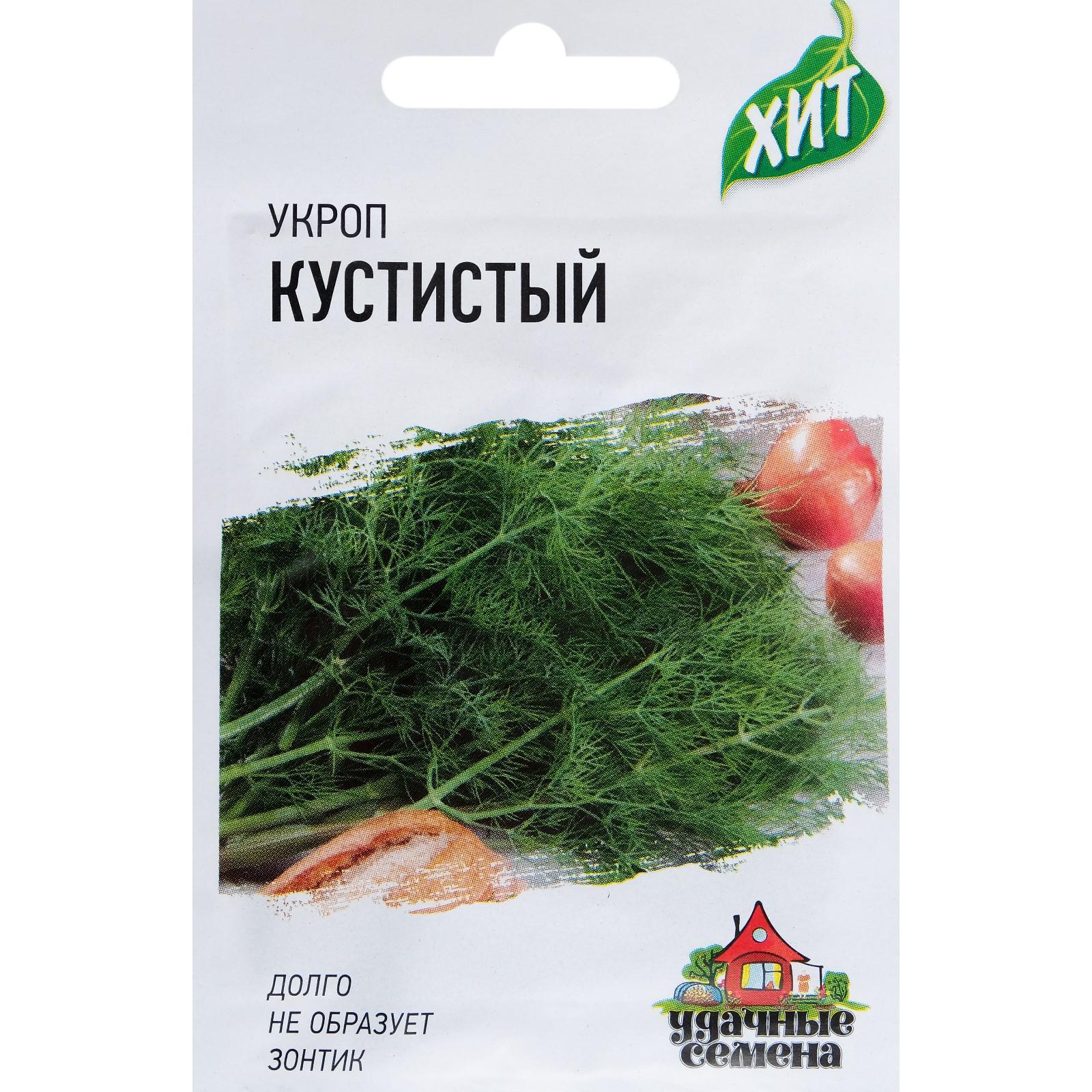 Семена Укропа Зонтик Купить