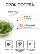 Семена Укроп «Обильнолистный», 2 г, «ХИТ-Гавриш» - Фото 2