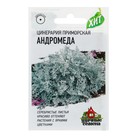 Семена цветов Цинерария приморская "Андромеда", О, 0,05 г  серия ХИТ х3 - Фото 3