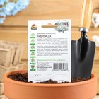 Семена цветов Цинерария приморская "Андромеда", ц/п, О, 0,05 г серия ХИТ х3 - Фото 2