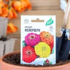 Семена цветов Цинния "Фейерверк", ц/п, смесь, О, 0,3 г серия ХИТ х3 - Фото 1