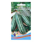 Семена Кабачок «Египетская Сила», 10 шт., «Уральский Дачник» - Фото 1