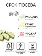 Семена Кабачок «Египетская Сила», 10 шт., «Уральский Дачник» - Фото 2