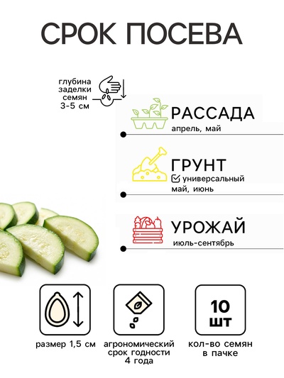 Семена Кабачок «Египетская Сила», 10 шт., «Уральский Дачник»
