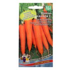 Семена Морковь "Канада", F1, 0.2 г, 150шт. - фото 2024453
