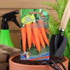 Семена Морковь "Канада", F1, 0.2 г, 150шт. - Фото 5