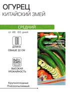 Семена огурец «Китайский Змей», среднепоздний, пчелоопыляемый, 10 шт. - Фото 3
