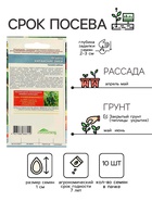 Семена огурец «Китайский Змей», среднепоздний, пчелоопыляемый, 10 шт. - Фото 4