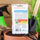 Семена огурец «Уральский корнишон F1», раннеспелый, партенокарпический, 10 шт. - Фото 4