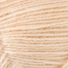 Пряжа "Angora Gold" 20% шерсть, 80% акрил  550м/100гр (67 молоч. бежевый) - фото 8359428