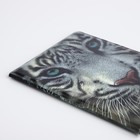 Обложка для паспорта, цвет серый 2925797