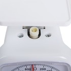 Весы кухонные ENERGY EN-406МК, механические, до 5 кг, белые - фото 8359827
