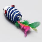 Набор игрушек для кошек: мышь, шарики, сизаль, пластик, цвет МИКС - Фото 3