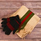 Подарочный набор "С 23 Февраля": шарф, перчатки - Фото 2