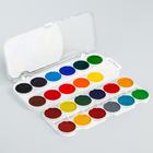 Акварель 24 цвета, «Смешарики», карамельная, без кисти - Фото 3