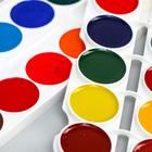 Акварель 24 цвета, «Смешарики», карамельная, без кисти - Фото 5