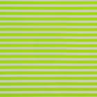 Пленка для цветов матовая "Полоски", салатовый 0.6 х 10,4 м, 35 мкм - Фото 3