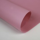 Плёнка для цветов и подарков, матовая, пудра тёмная, 0,6 х 10 м, 40 мкм - Фото 2