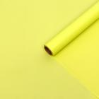 Плёнка для цветов и подарков, матовая, светло-салатовая, 0,6 х 10 м, 40 мкм - Фото 3