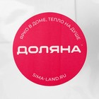 Набор для вина Доляна «Сердца», 2 предмета: штопор, пробка фигурная, нержавеющая сталь - Фото 8