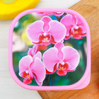 Ланч-бокс «Орхидеи», 700 мл - Фото 2