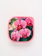 Ланч - бокс квадратный «Орхидеи», 700 мл - Фото 5