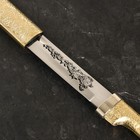 Шашка кавказская, сувенирная "Шамиль" наборный-кожа/латунь - фото 24621964