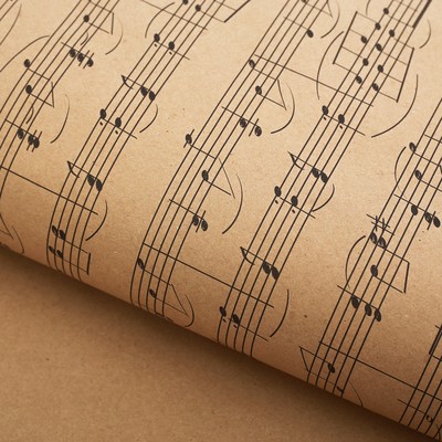 Бумага упаковочная крафт «Ноты», 50 х 70 см