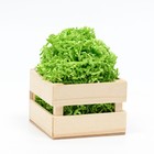 Наполнитель бумажный для подарков, зеленая липа, 1000 г - Фото 1