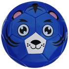 Мяч футбольный, PVC, машинная сшивка, 32 панели, р. 2, цвет МИКС - фото 3480801