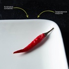 Блюдо прямоугольное Доляна White Label, 24.5×15.5 см, фарфор, белое - Фото 11