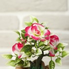 Бонсай с розами в каменной клумбе 7*14 см  МИКС - Фото 2