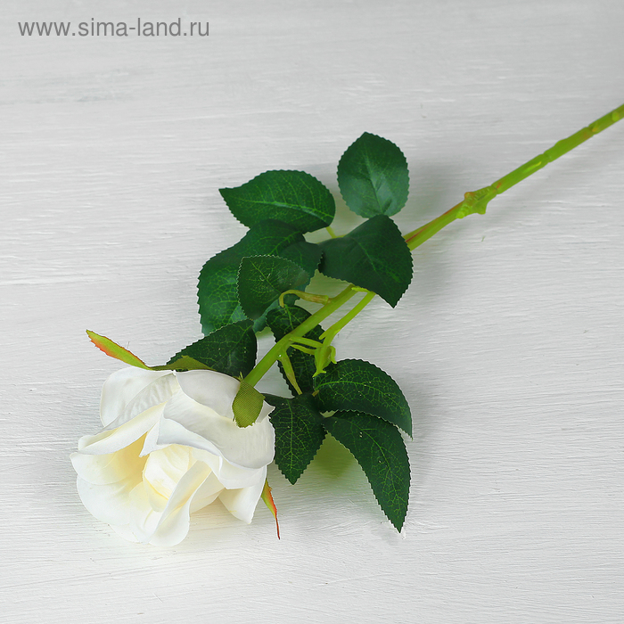 Цветы искусственные "Роза Умбрия" 4*60 см, белая - Фото 1