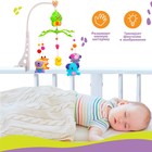 Мобиль музыкальный на кроватку «Домик. Джунгли №2», заводной - Фото 3