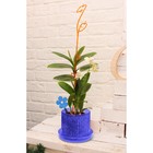 Горшок для орхидей с поддноном «Шарм», 1,8 л, цвет синий - Фото 5