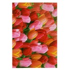 Блокнот А5, 70 листов на клею "Тюльпаны", твердая обложка, глянцевая ламинация - Фото 1