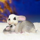 Садовая фигура "Зайка с зайчонком" 14х8х7см - Фото 4