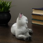 Фигура "Котята Ребята" серый 12х14х16см - Фото 3