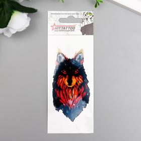 Татуировка на тело "Переводной волк" 5,6х12 см
