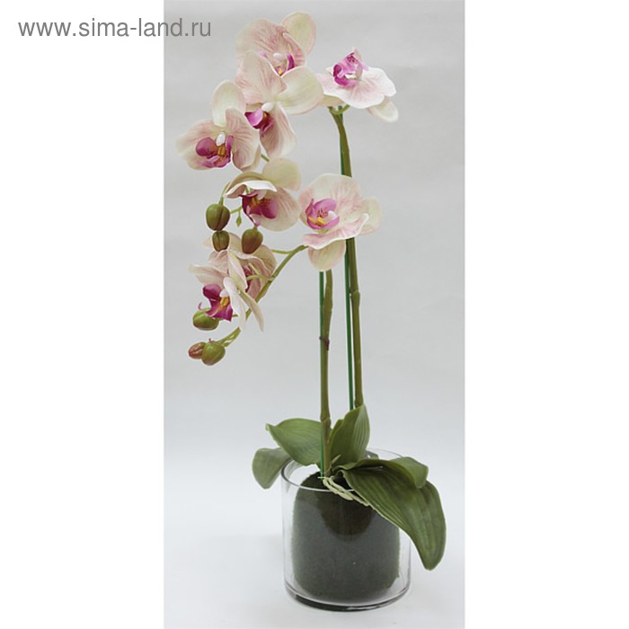 Декор.цветы Орхидея св.розовая в стекл.вазе - Фото 1