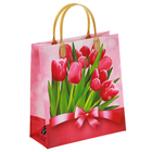 Пакет "Букет тюльпанов", мягкий пластик, 26 х 23 см, 120 мкм - Фото 1