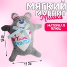 Мягкая игрушка-магнит «Ты моё счастье», медведь - Фото 1