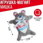 Мягкая игрушка-магнит «Ты моё счастье», медведь - Фото 2