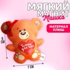 Мягкая игрушка-магнит «Только для тебя», медведь - фото 8361318
