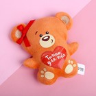 Мягкая игрушка-магнит «Только для тебя», медведь - фото 8361320