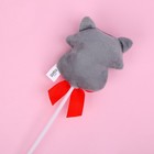 Мягкая игрушка на палочке «Для тебя», енот, 42 см - Фото 3