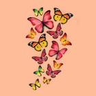 Термотрансфер «Бабочки», 11 × 19,5 см - Фото 3