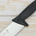 Нож кухонный «Мечта повара», 19,5 см, цвет чёрный - Фото 4