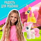 Фигурки - питомцы «Пони», набор 2 шт., МИКС - Фото 4