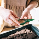 Сеялка для семян, ручная, для точечной посадки, длина 12 см, пластик - Фото 7